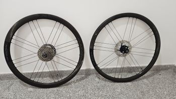 Used Campagnolo Shamal C21 Carbon Wheelset 2023 bike — image 4 of 8