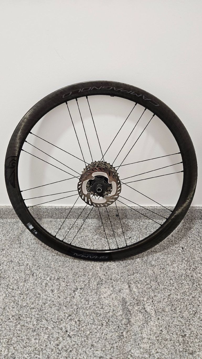 Used Campagnolo Shamal C21 Carbon Wheelset 2023 bike — image 3 of 8