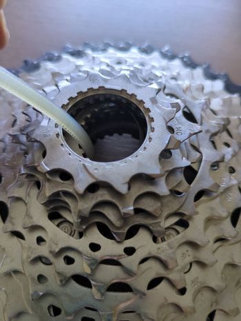 Shimano CS-M8100 12S 2025 bike de segunda mano — imagen 11 de 15