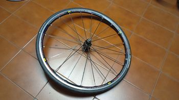 Used Mavic Ksyrium Elite Rear Wheel bike