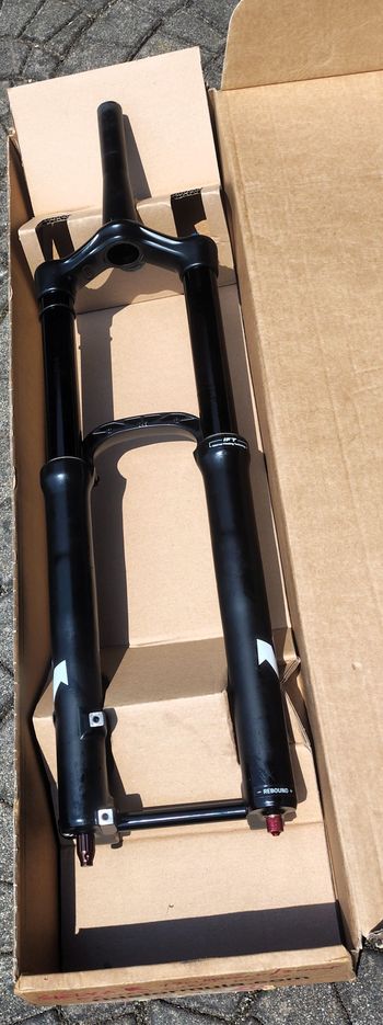 Used Formula Selva R 29" Corsa 170 2025 bike — image 3 of 10