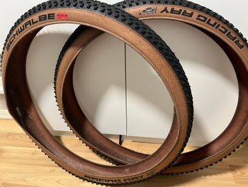Tweedehands Schwalbe Racing Ray/Ralph 2026 bike
