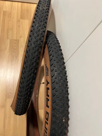 Tweedehands Schwalbe Racing Ray/Ralph 2026 bike — afbeelding 3 van 4