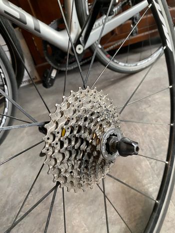 Gebrauchtes Mavic Aksium Wheels with Continental GP5000 Tires 10-speed bike — Bild 3 von 5