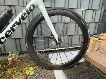 Used Elite-Wheels Drive 50D II Carbon Spoke Road Wheelset 2025 bike — image 2 of 4