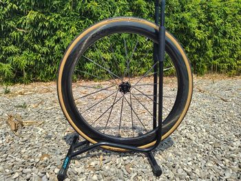 Used Elite-Wheels Drive 2 50D Wheelset 2026 bike — image 3 of 6