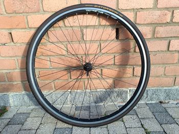 Gebrauchtes Campagnolo Record Wheelset 11-speed Clincher 28" 700c 32h 12-27 bike — Bild 24 von 39