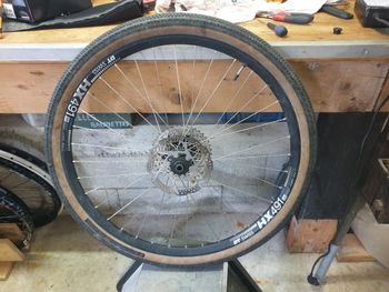 Used Dt Swiss Rear Wheel 27.5 / 650b Shimano bike