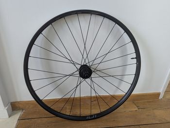 Zipp 101 XPLR Carbon HG Gravel Rear Wheel bike d'occasion