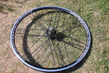 Gebrauchtes Campagnolo Shamal Ultra C17 Wheelset bike — Bild 11 von 13
