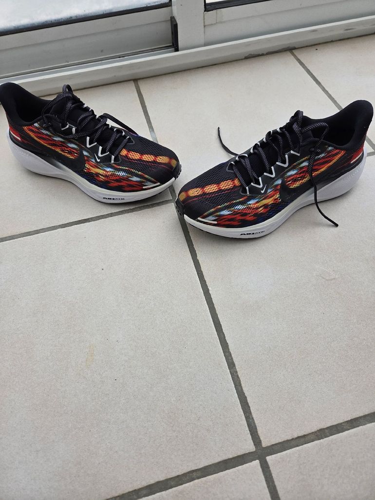 Použité Nike Pegasus 41 bike — obrázek 1 z 4