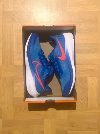 Used Pegasus Nike 39 bike
