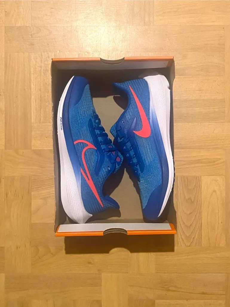 Używany Pegasus Nike 39 bike — zdjęcie 1 z 8