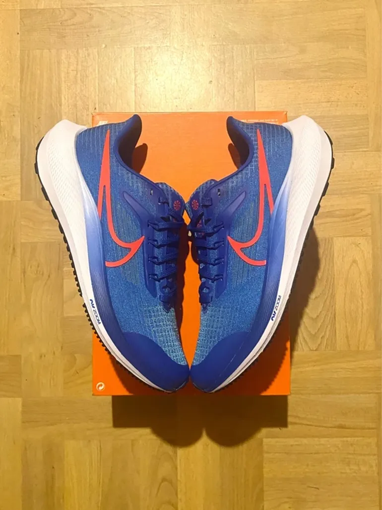 Używany Pegasus Nike 39 bike — zdjęcie 2 z 8