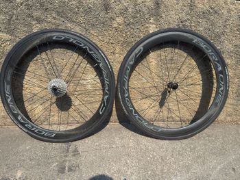 Campagnolo Bora One 50 Dark Label Wheelset 2019 bike d'occasion