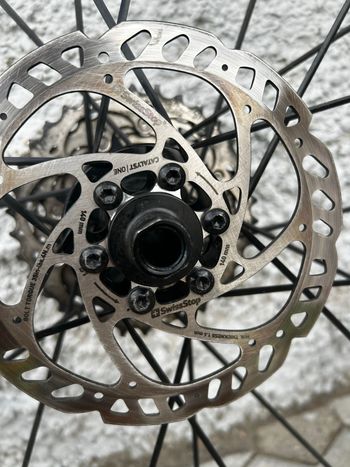 Used No brand ruote 2023 bike — image 3 of 7