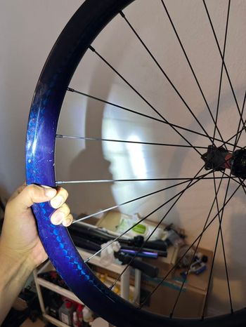 Used NoName NO LOGO, DT SWISS 240 2025 bike — image 6 of 9