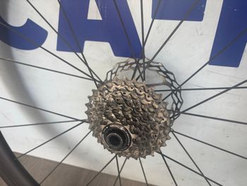 Used Evolv EVO Disc 38mm 2023 bike — image 4 of 6