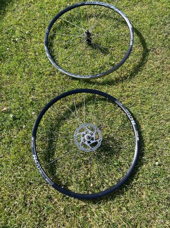 Gebrauchtes Dt Swiss R 470 DB / R24 DB spline bike