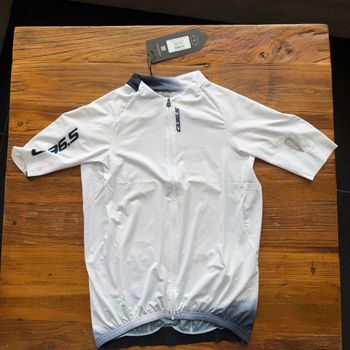 Tweedehands Q36.5 Gregarius Pro Collar Fade Signature Jersey L// NEW!! 50% OFF!! 2026 bike