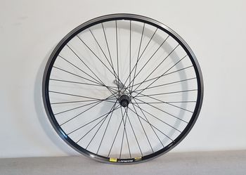 Used Lapierre Cross Rim Brake bike
