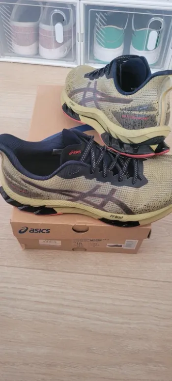 Asics Kinsei Blast LE II bike d'occasion