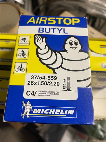 Used Michelin REGINA bike