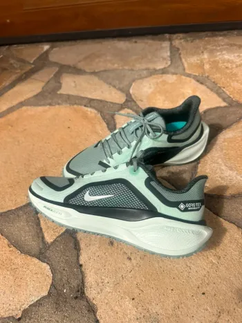 Brugt Nike sports shoes bike