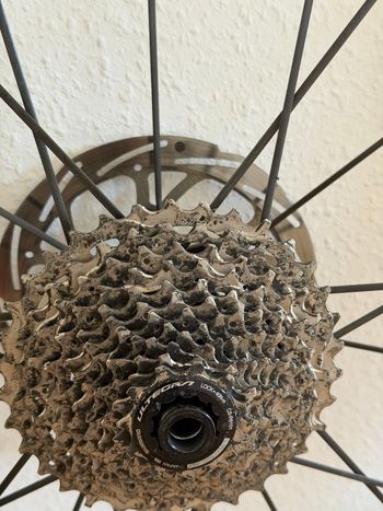 Used Leeze CC 35 Disc ULTRA 2024 bike — image 10 of 16