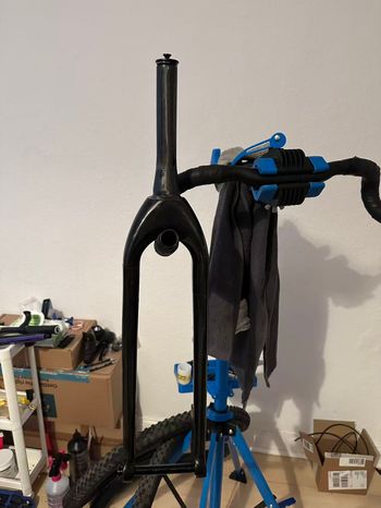 Used bee bike carbon fork 2025 bike