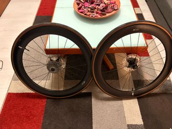 Used Rose RC-Sixty Disc 28" Carbon Road Wheel 2025 bike — image 2 of 6