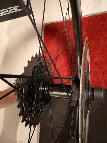Used Rose RC-Sixty Disc 28" Carbon Road Wheel 2025 bike — image 5 of 6