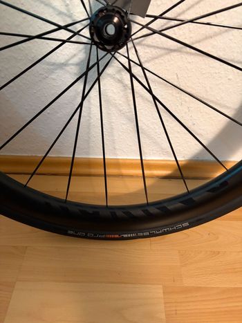 Used Canyon ED 42 CF Carbon Disc Laufradsatz 2026 bike — image 3 of 5
