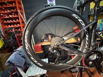 Gebrauchtes Syncros Capital 1.0 S 60mm 2026 bike