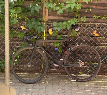 Used Planet X Pista Track Aluminium Laufradsatz 2024 bike — image 10 of 10
