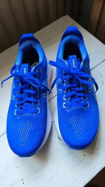 Used Asics Gel Kayano 32 bike