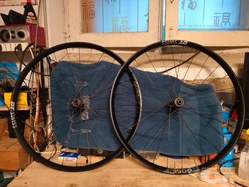 Used Dt Swiss H 1900 SPLINE Hybrid 29 bike