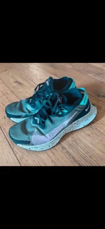 Brugt Pegasus Nike Trail 2 bike