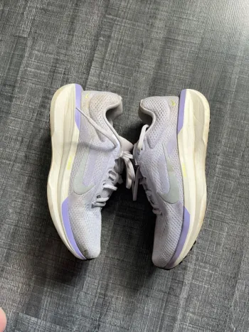 Tweedehands Nike Air Winflo 11 bike