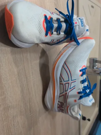 Gebrauchtes Asics Nimbus 26 Paris Edition bike