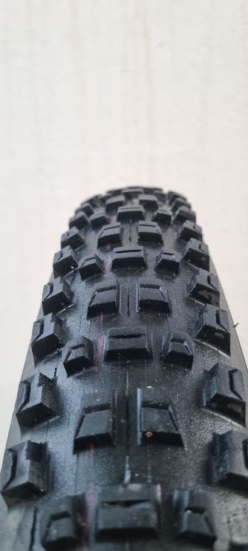Used Schwalbe Albert Gravity Pro Radial Ultra Soft 29x2.6 2026 bike