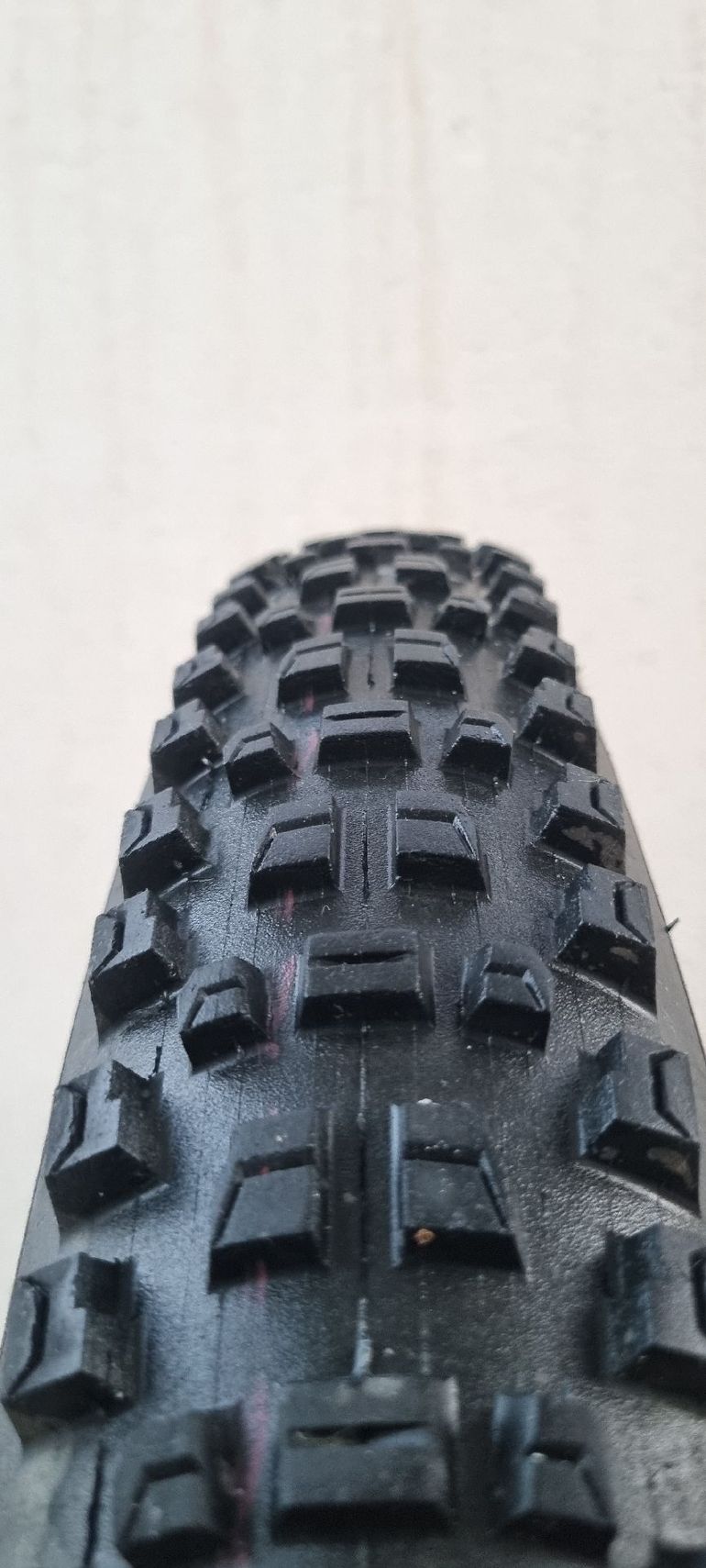 Schwalbe Albert Gravity Pro Radial Ultra Soft 29x2.6 2026 bike d'occasion — image 1 sur 4