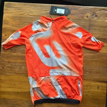 Used Q36.5 Gregarius Pro Big Logo Jersey L// NEW!! 50% OFF!! 2026 bike