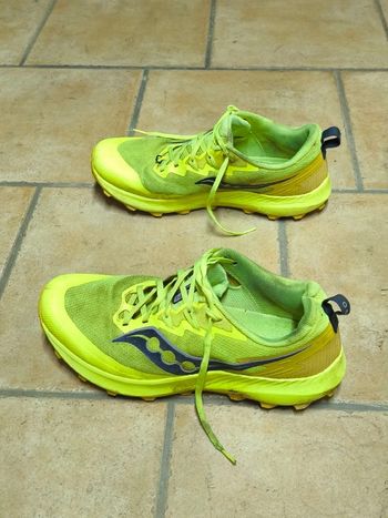 Saucony Peregrine 14 bike usato