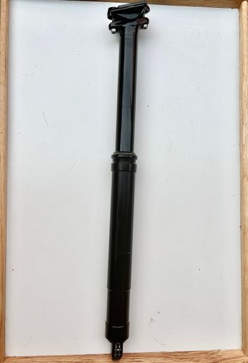 Used Tranzx JD-YSP39 2024 bike