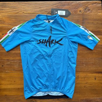 Used Q36.5 Gregarius Pro Nibali Jersey L// NEW!! 50% OFF!! 2026 bike