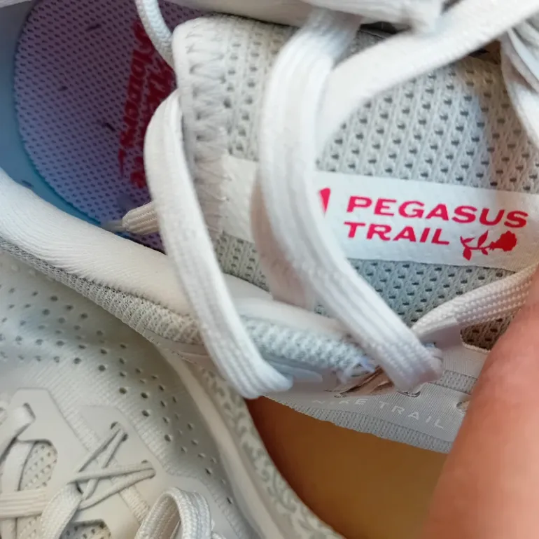 Gebrauchtes Pegasus Trail bike — Bild 6 von 13