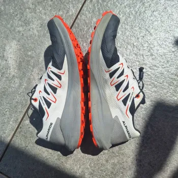 Used Salomon Alpharide bike — image 3 of 7