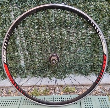 Used Dt Swiss 4.0 Rear Wheel bike