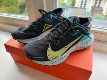 Lightweight Trail Pegasus 2 bike usato